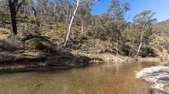 Farm Property for Sale - 377 Sheepstation Forest Road Gingkin NSW 2787