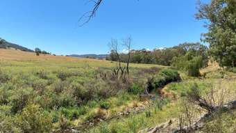 Farm Property for Sale -  Campbells Creek Road Mudgee NSW 2850