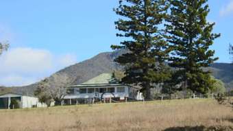 Farm Property for Sale - 2282 Rivertree Road Rivertree NSW 2372