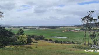 Farm Property for Sale - 2506 Lower Denmark Road Kronkup WA 6330