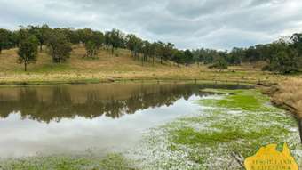 Farm Property for Sale -  Wide Bay Highway Access via Taylors Road Goomeri QLD 4601