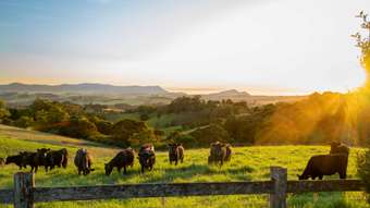 Farm Property for Sale - 922 Whisky Creek Road Dorrigo NSW 2453