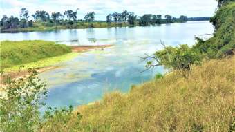 Farm Property for Sale - 1555 Gin Gin Road Sharon QLD 4670