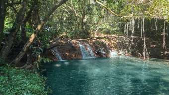 Farm Property for Sale - 144 Donkin Road Utchee Creek QLD 4871