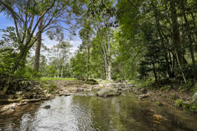 Farm Property for Sale - 192 Booka Road Upper Crystal Creek NSW 2484