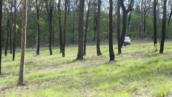 Farm Property for Sale - 229 Bruxner Road Drake NSW 2469