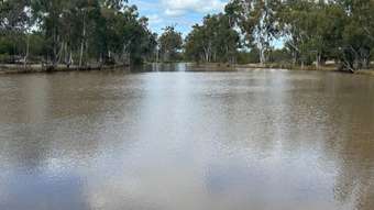 Farm Property for Sale - 1369 Yagaburne-Boondandilla Road Moonie QLD 4406