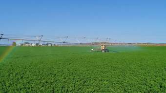 Farm Property for Sale - 593 Willow Springs Road Kings Creek QLD 4361