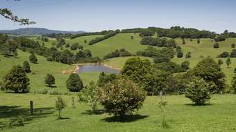 Farm Property for Sale - 4948 Waterfall Way Dorrigo NSW 2453