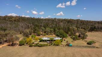 Farm Property for Sale - 919 Spring Ridge Road Gulgong NSW 2852