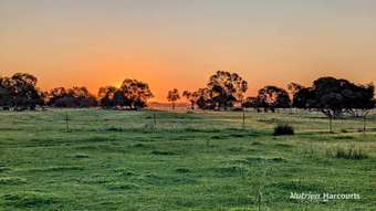 Farm Property for Sale - Lot 64 Muckenburra Road (Muckenburra) Gingin WA 6503