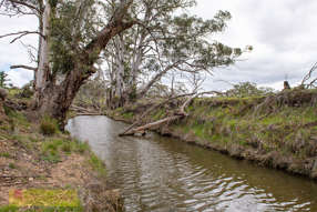  Lot 73 Campbells Creek Road Mudgee NSW 2850