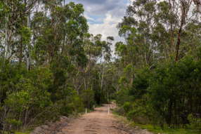 153 Murumba Rd, Bombay NSW 2622