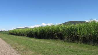 Farm Property for Sale - Shirbourne QLD 4809