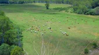 Farm Property for Sale - 462 Petersens Road Yandaran QLD 4673