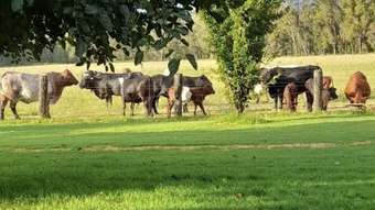 Farm Property for Sale - 3046 Baradine road Coonabarabran NSW 2357