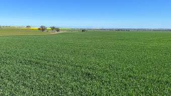 Farm Property for Sale - S O L D  & Quelagetting Road Cunderdin WA 6407