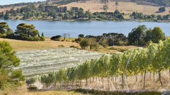 Farm Property for Sale - 229 Rosevears Drive Rosevears TAS 7277