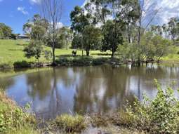 Farm Property for Sale - 235 Coorooman Creek Road Cawarral QLD 4702