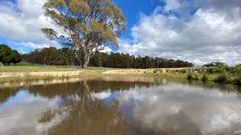 Farm Property for Sale - Lot 4 Isabella Road Isabella NSW 2795