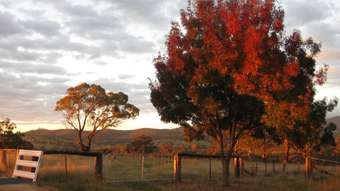 Farm Property for Sale - Bathurst NSW 2795