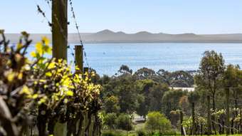 Farm Property for Sale - 2061-2069 Portarlington Road Drysdale VIC 3222