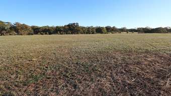 Farm Property for Sale - CA 6 Nine Mile-Wedderburn (opposite 85 Nine Mile Road Wedderburn) Road Nine Mile VIC 3518