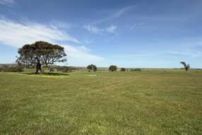 Lot 115 Mcgormans Road Tungkillo SA 5236