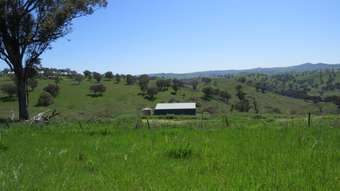 Farm Property for Sale - Lot 47 Yarrawarrah Road Canowindra NSW 2804