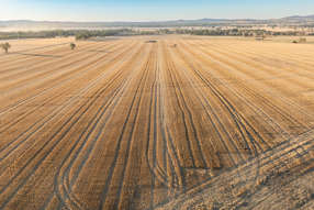  Nioka Road Jindera NSW 2642