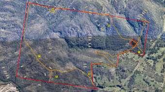 Farm Property for Sale - Seaham NSW 2324