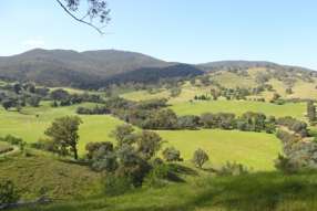 175 Tinmines Road Mullengandra NSW 2644