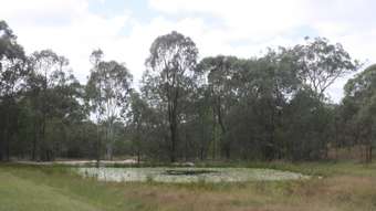 Farm Property for Sale - Mount Perry QLD 4671