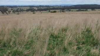 Farm Property for Sale - 1965 Campbells River Road Burraga NSW 2795