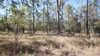 Farm Property for Sale - 280 Stanmore Road, Coonambula Mundubbera QLD 4626