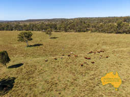 . TIM SHEA CREEK ROAD Wengenville QLD 4615