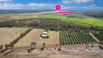 Farm Property for Sale - 140  De Lacy Road Dimbulah QLD 4872