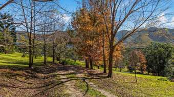 Farm Property for Sale - 303 Tyalgum Creek Road Tyalgum Creek NSW 2484