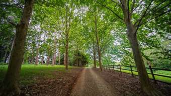 Farm Property for Sale - Reesville QLD 4552