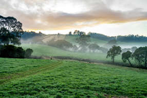 Farm Property for Sale - 1431 Coramba Road Dorrigo NSW 2453