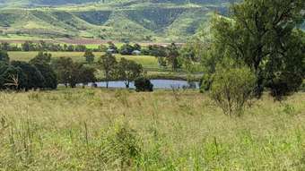Farm Property for Sale - Lot 2 Gatton Clifton Road Mount Whitestone QLD 4347