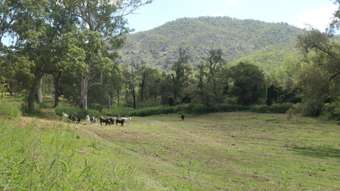 Farm Property for Sale - 2501 Rocky River Road Rocky River NSW 2372