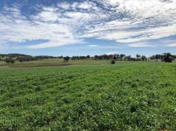 317 Bald Hill Road Goolma NSW 2852