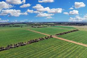 Farm Property for Sale - 4005 Lachlan Valley Way Forbes NSW 2871