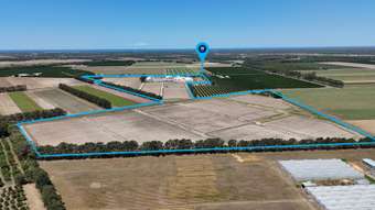 Farm Property for Sale - 134 Wolfenden Road Calavos QLD 4670