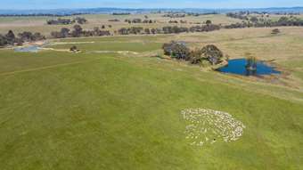 Farm Property for Sale - 536 Duramana Road Eglinton NSW 2795