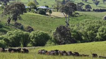 Farm Property for Sale - 1081 Triangle Flat Road Bathurst NSW 2795