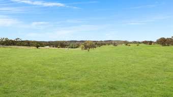 Farm Property for Sale - Lot 4 Leechs Gully Tenterfield NSW 2372