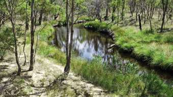 Farm Property for Sale - Lot 12 Cunningham Highway Thanes Creek QLD 4370