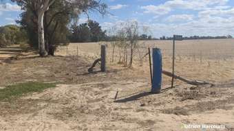 Farm Property for Sale - 596 Coben Soak Road Beaufort River WA 6394